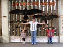 FWZoo_WingspanFamily (4)